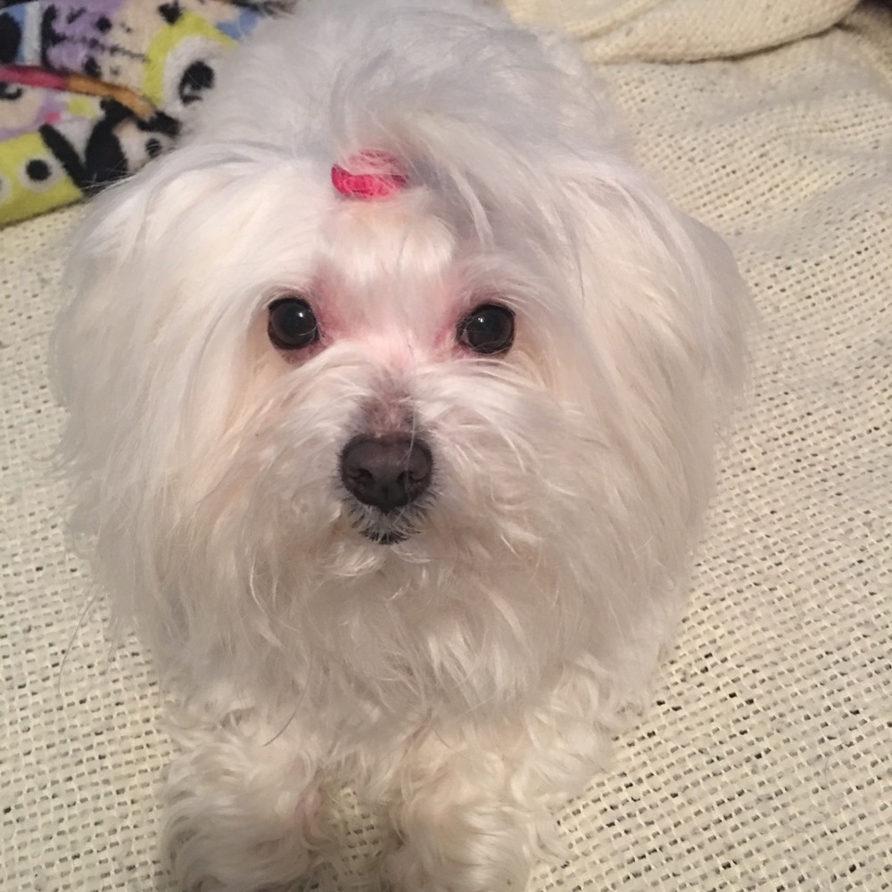 Not For Sale